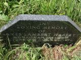 image number Haslett James Lambert 439